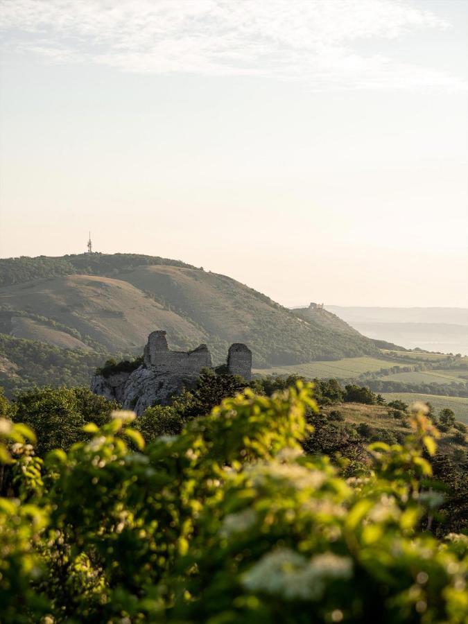 مبيت وإفطار بافلوف Marinada Vinicni Dum المظهر الخارجي الصورة